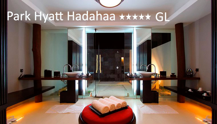 tuviajeadomicilio-hotel-park hyatt-17 tuviajeadomicilio-hotel-park hyatt-17