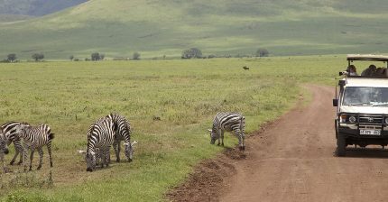 Safari Tanzania + Zanzíbar