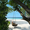 beach-swing beach-swing
