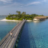 the-bridge-01