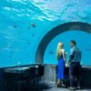 you & me 5e0e14623ef6co